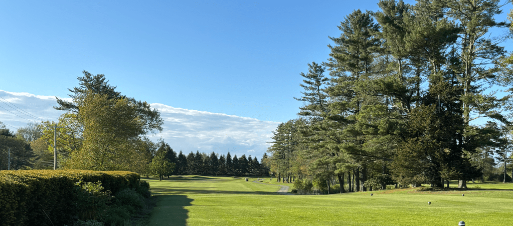 Golf course green